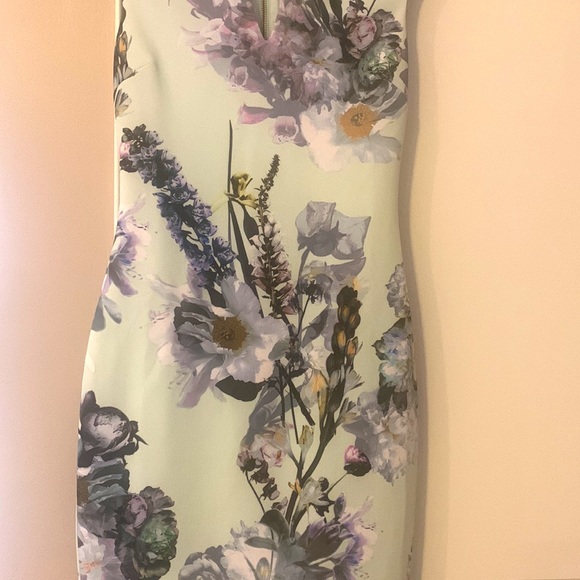 TED BAKER Torchlit Floral Midi Dress - Picture 12 of 17